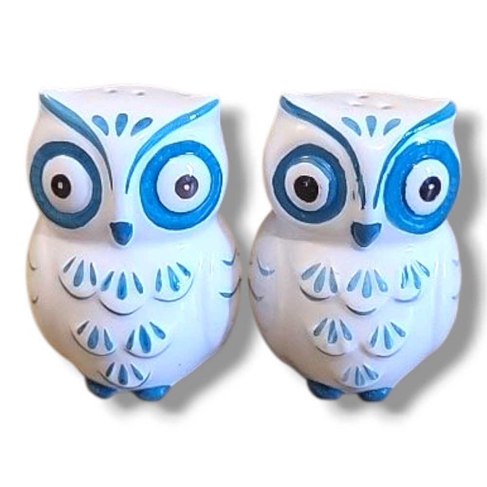 Vintage Owl Turquoise & White Salt And Pepper Shakers
